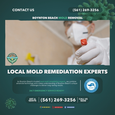 About Boynton Beach Mold Removal