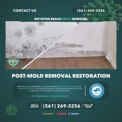Restoration and Prevention Services