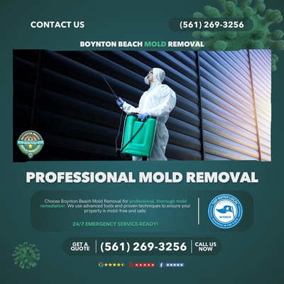 Premier Professional Mold Removal Company in Boynton Beach, FL
